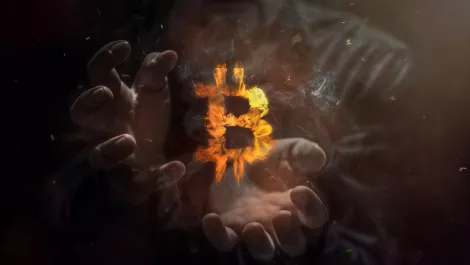 Curtin Uni launches cryptocurrency-based PhD scholarship fund