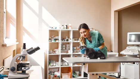 Vet CX chooses MaxContact to improve customer experience