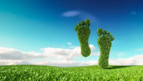 Google commits to 24/7 carbon-free energy by 2030