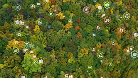 Sustainability and the corporate carbon footprint challenge