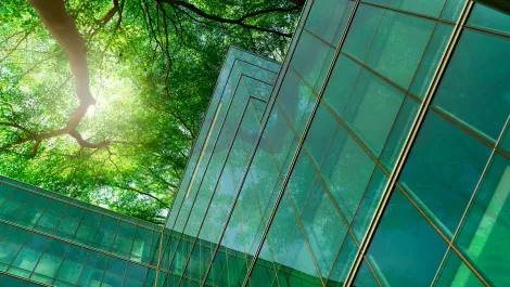 Here come the Greenfluencers: 5 tech trends that will fuel the green transition in 2022