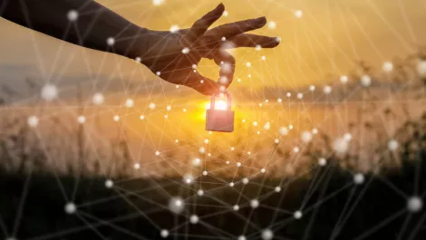 Container adoption approaching maturity at expense of security best practices