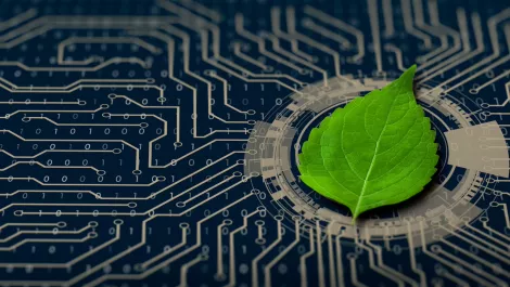 Can bots succeed where humans have failed in sustainability?
