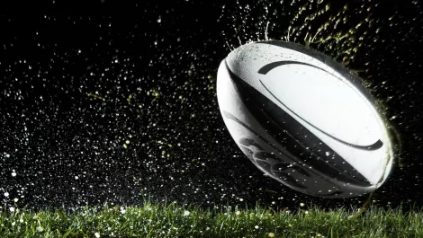 SAP partners with New Zealand Rugby for digital transformation