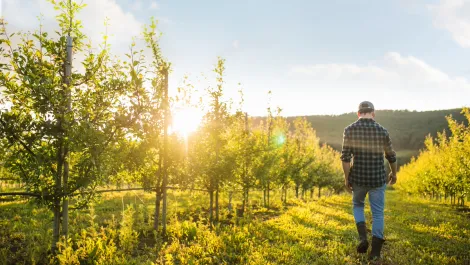 Zespri goes live with private edition of SAP cloud offering