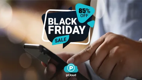 Up to 85% off for various lifetime storage plans from pCloud
