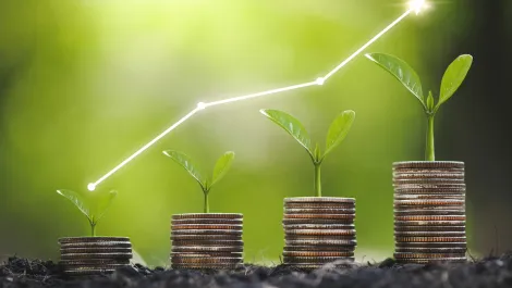 Exclusive: Socialsuite simplifies ESG for small caps and private companies