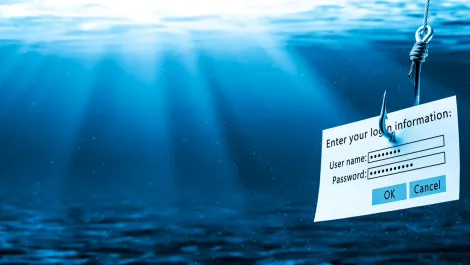 Phishing remains most dominant, fastest growing internet crime