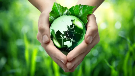 Australian Govt urged to adopt green technology practices