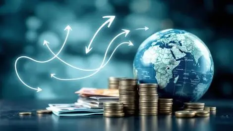 Wise urges New Zealand MPs to end NZD $667m FX fee losses