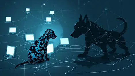 Detour Dog malware uses DNS TXT records to hijack 30,000 sites