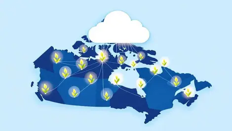 Google backs 14 Canadian AI startups in new cohort